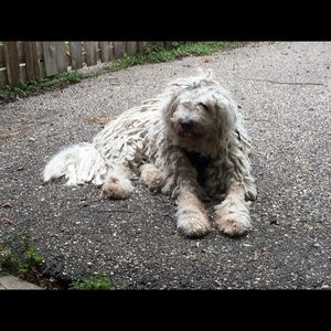 Meet your Posher, Jeremy